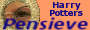 Harry Potter's Pensieve