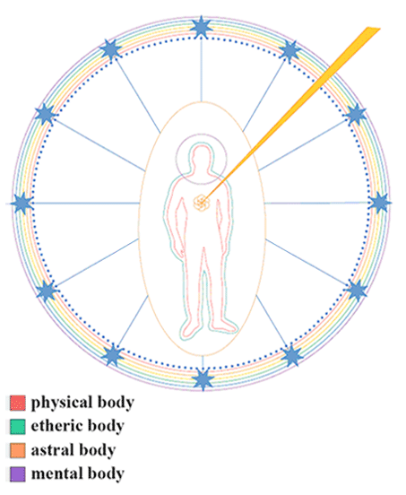 The  human microcosm 