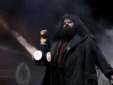 Hagrid the Guide