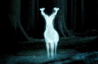 Stag Patronus