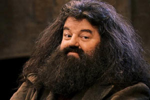 Resultat d'imatges de harry potter hagrid