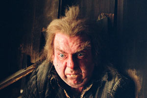 Peter Pettigrew)