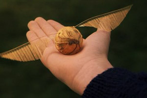 The Golden Snitch